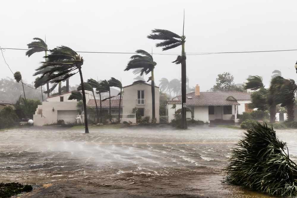 Florida hurricane preparedness